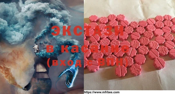 стафф Арсеньев