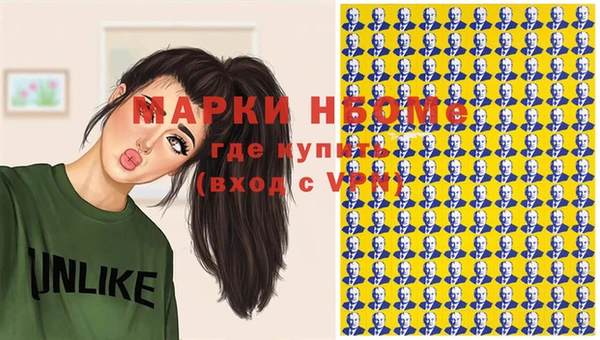 стафф Арсеньев