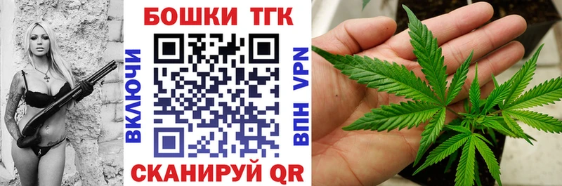 дарнет шоп  ссылка на мегу ТОР  Конопля Ganja  Зима 